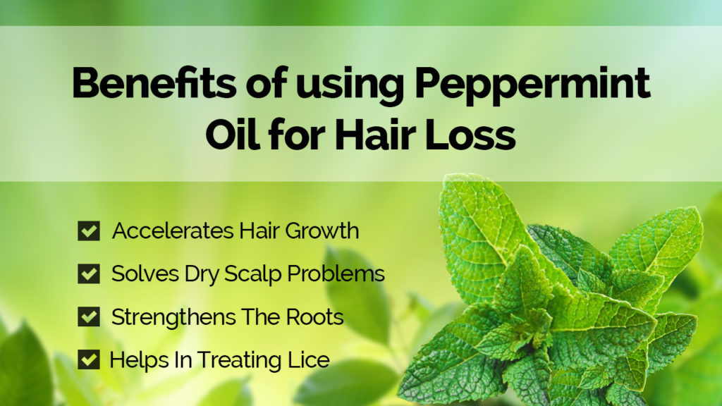 Benefits of Using Peppermint Oil for Hair Loss